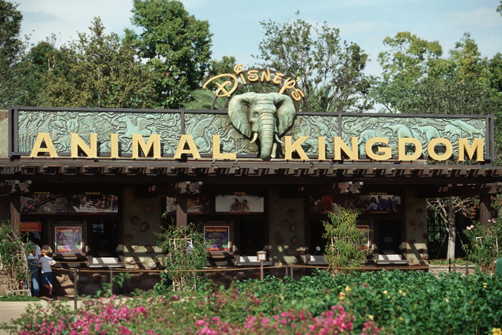 Animal Kingdom1